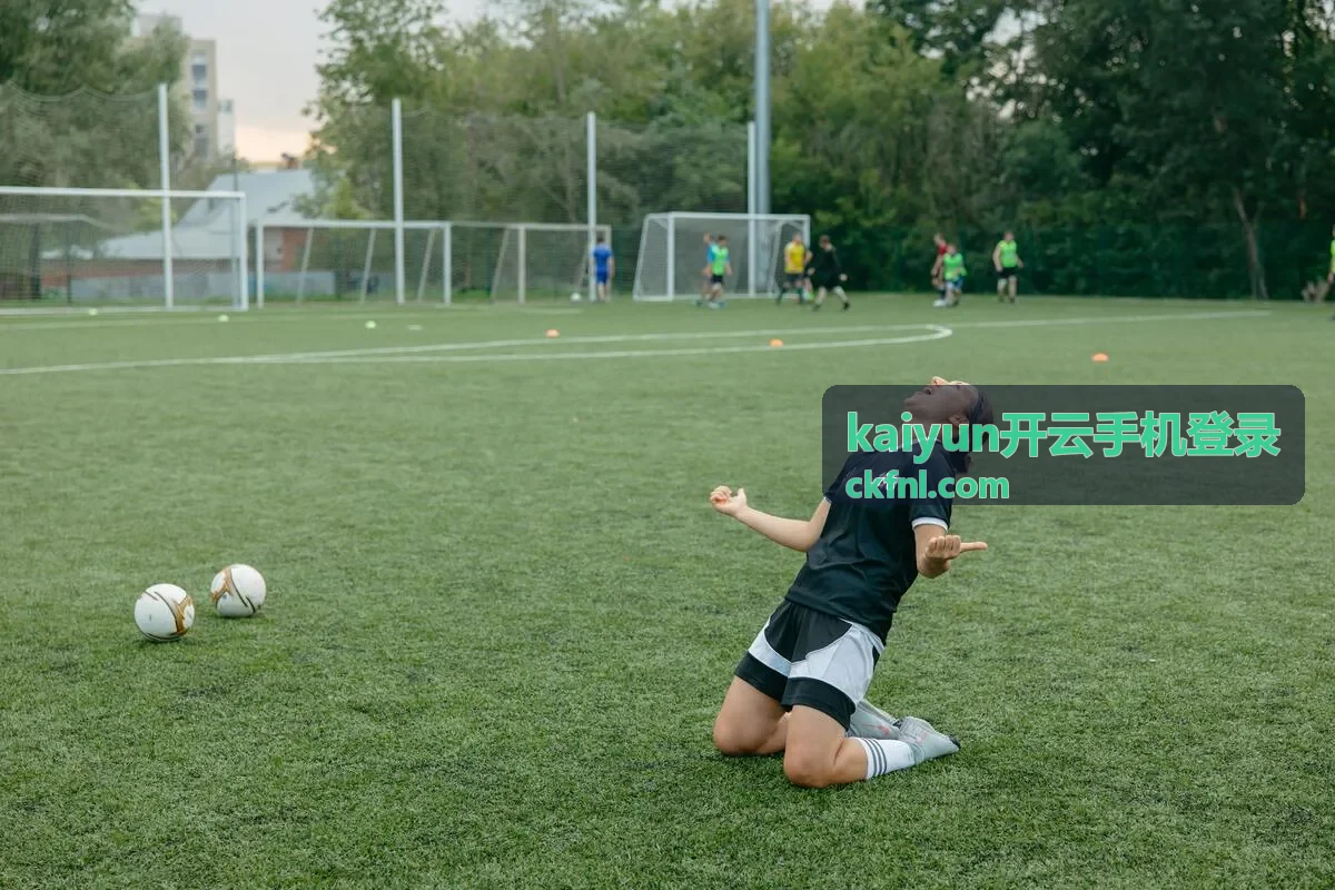 kaiyun开云手机登录操作指南