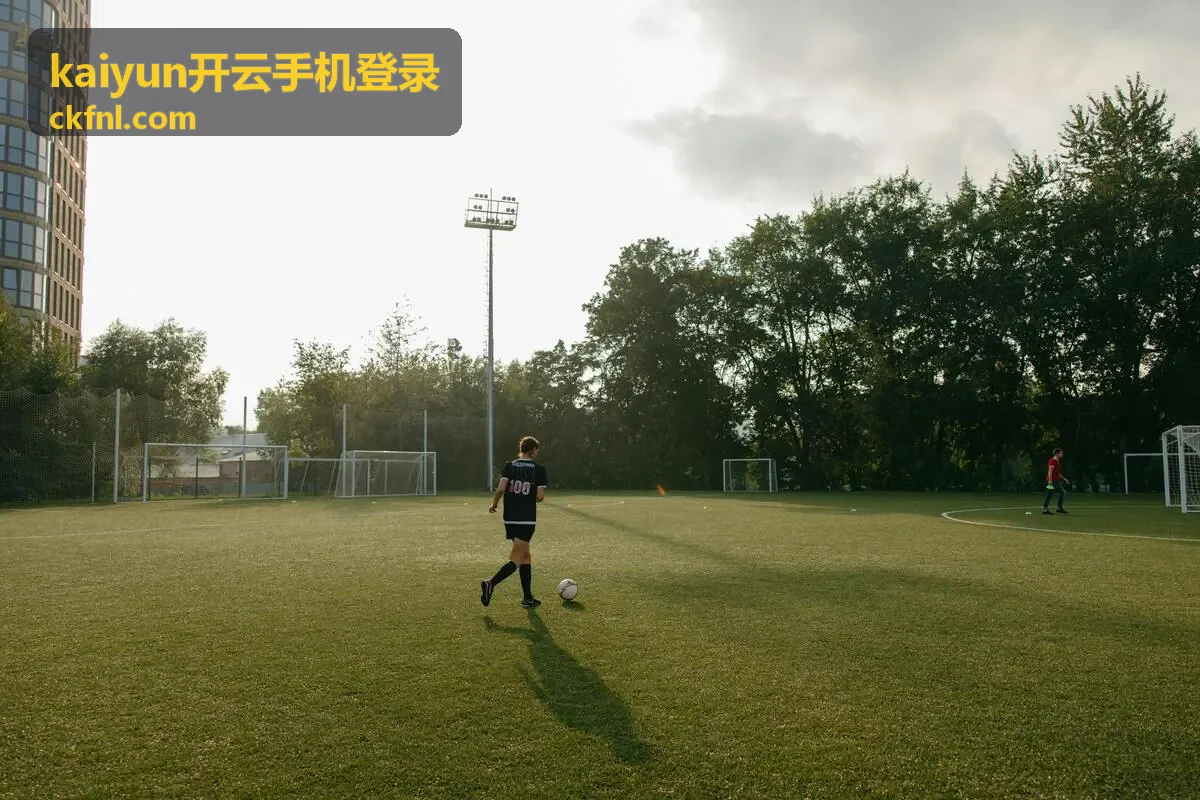验证码登录kaiyun开云账号安全设置