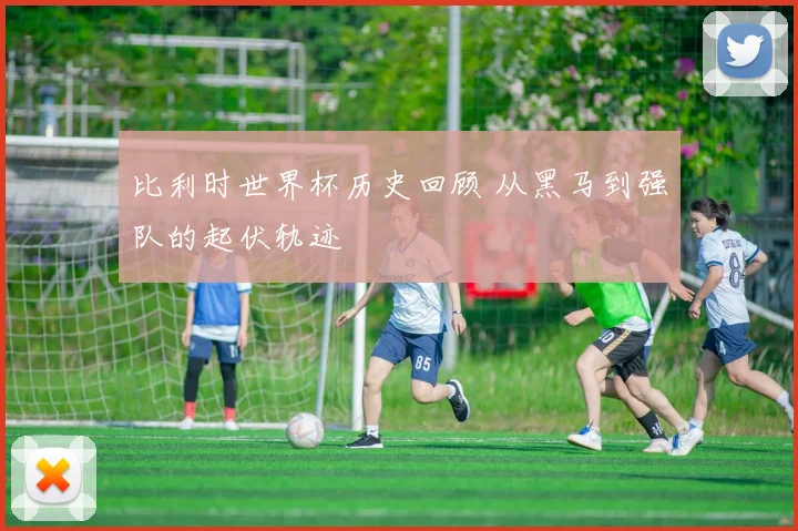 比利时世界杯历史回顾 从黑马到强队的起伏轨迹