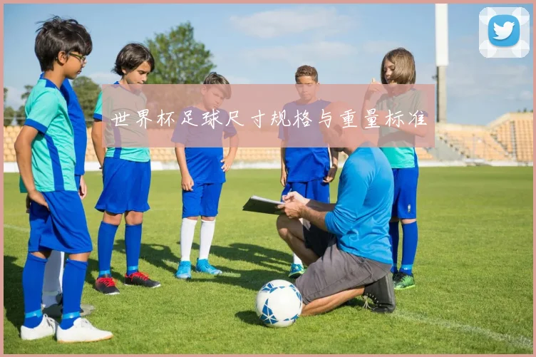世界杯足球尺寸规格与重量标准