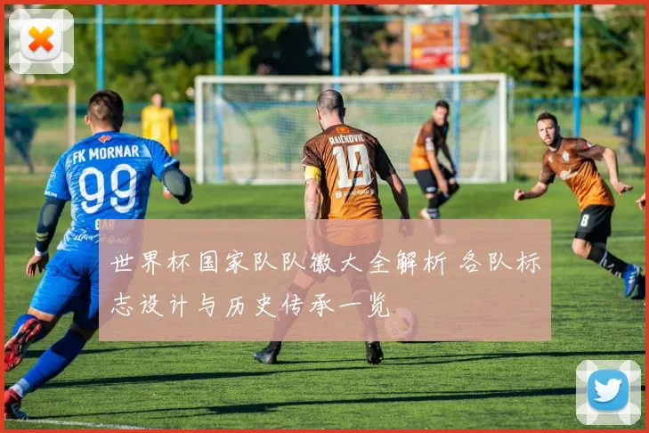 世界杯国家队队徽大全解析 各队标志设计与历史传承一览