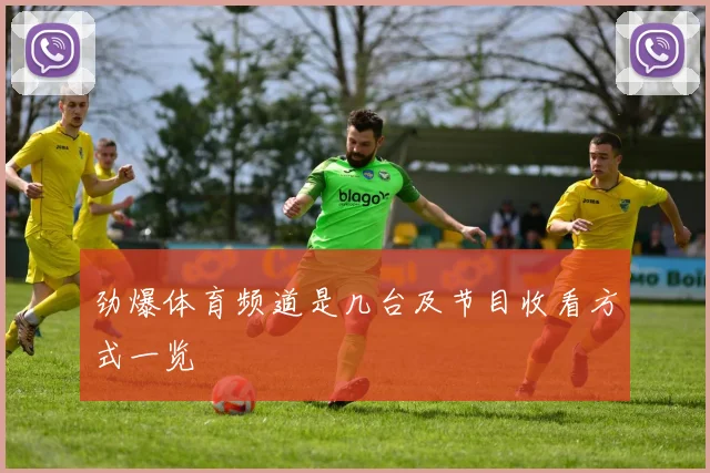 劲爆体育频道是几台及节目收看方式一览