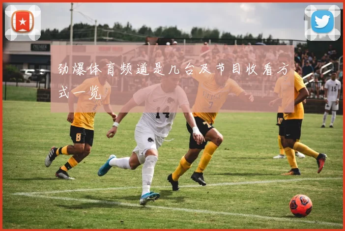 劲爆体育频道是几台及节目收看方式一览