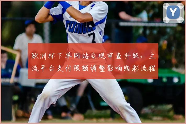 欧洲杯下单网站合规审查升级，主流平台支付限额调整影响购彩流程
