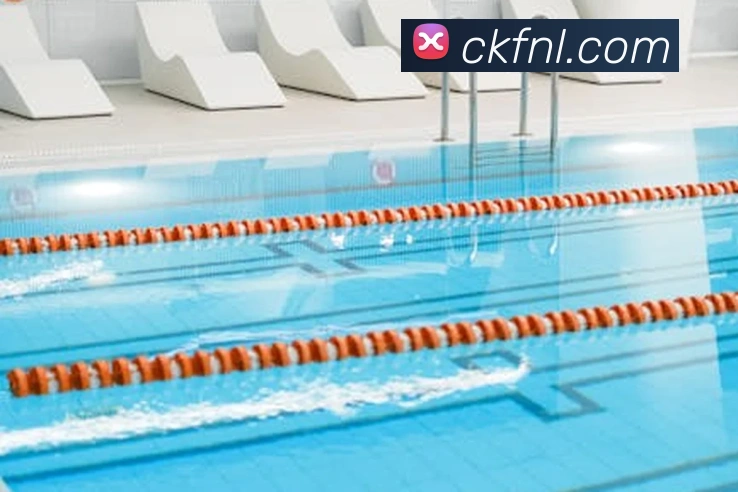 大阳城手机版官方网站APP 封面图